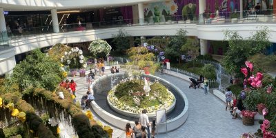 اجمل ولاية امريكية