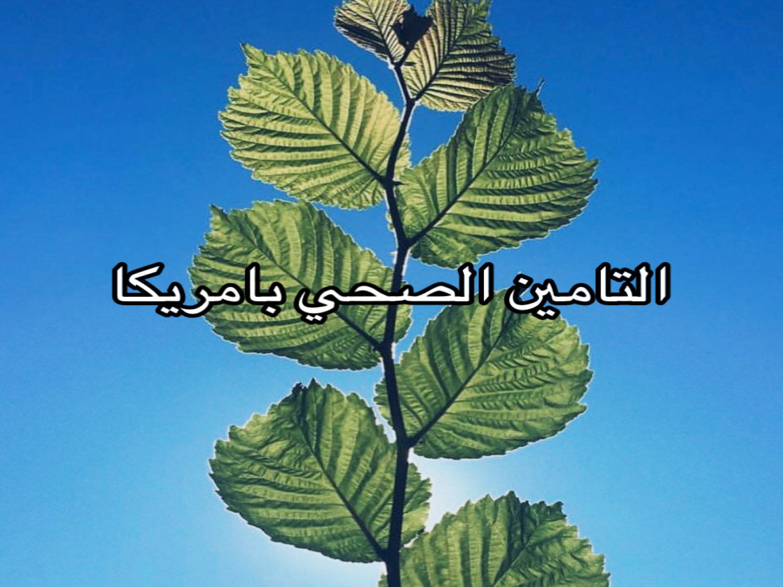 التامين الصحي في امريكا